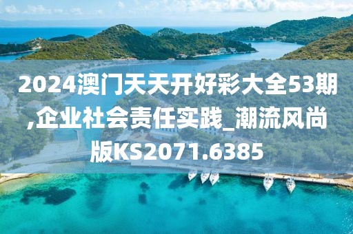 2024澳門天天開好彩大全53期,企業(yè)社會責任實踐_潮流風尚版KS2071.6385