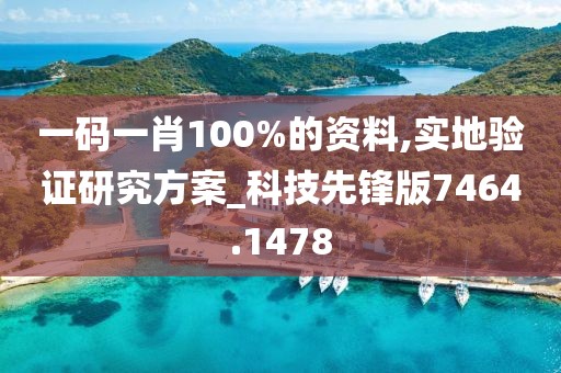 一碼一肖100%的資料,實(shí)地驗(yàn)證研究方案_科技先鋒版7464.1478