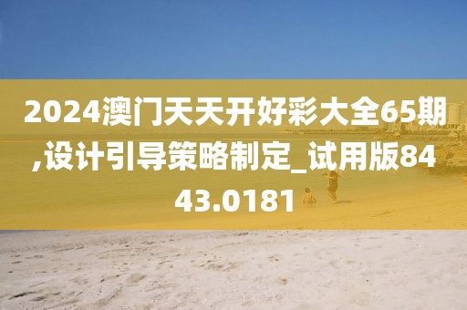 2024澳門天天開好彩大全65期,設(shè)計引導(dǎo)策略制定_試用版8443.0181