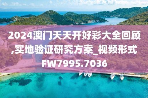 2024澳門天天開好彩大全回顧,實地驗證研究方案_視頻形式FW7995.7036