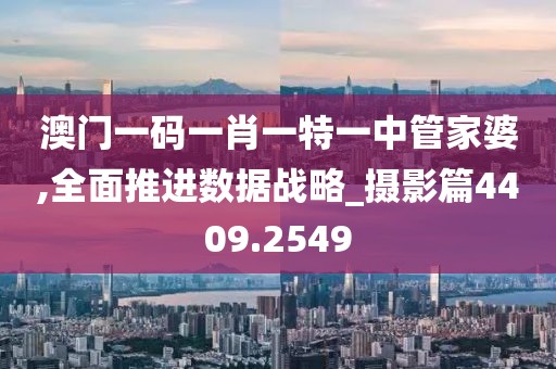 澳門一碼一肖一特一中管家婆,全面推進(jìn)數(shù)據(jù)戰(zhàn)略_攝影篇4409.2549