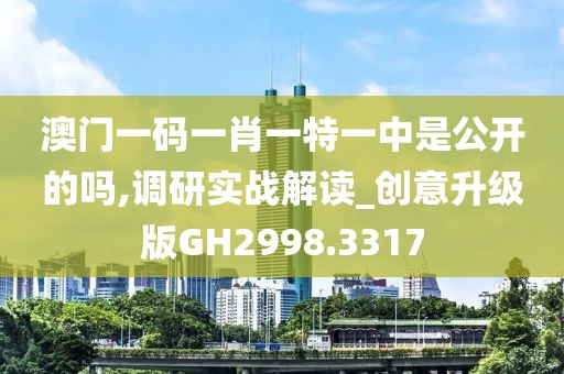 澳門一碼一肖一特一中是公開的嗎,調(diào)研實(shí)戰(zhàn)解讀_創(chuàng)意升級版GH2998.3317