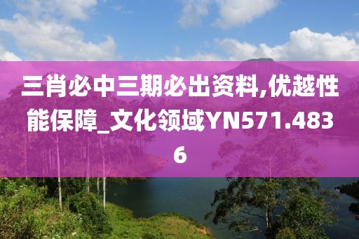三肖必中三期必出資料,優(yōu)越性能保障_文化領域YN571.4836