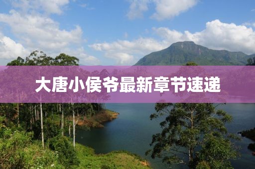 大唐小侯爺最新章節(jié)速遞