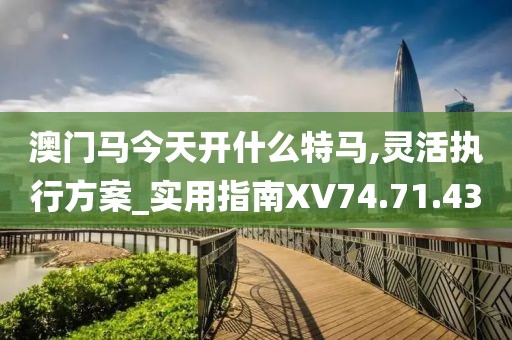 澳門馬今天開什么特馬,靈活執(zhí)行方案_實用指南XV74.71.43