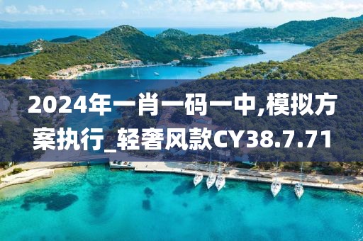2024年一肖一碼一中,模擬方案執(zhí)行_輕奢風(fēng)款CY38.7.71