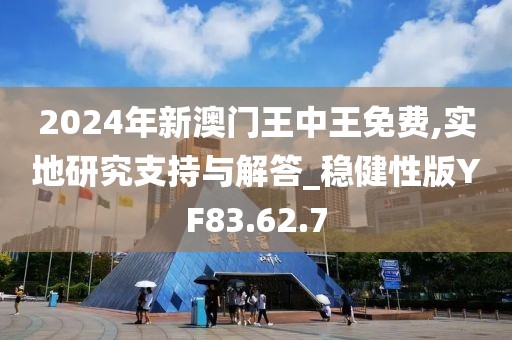 2024年新澳門王中王免費,實地研究支持與解答_穩(wěn)健性版YF83.62.7