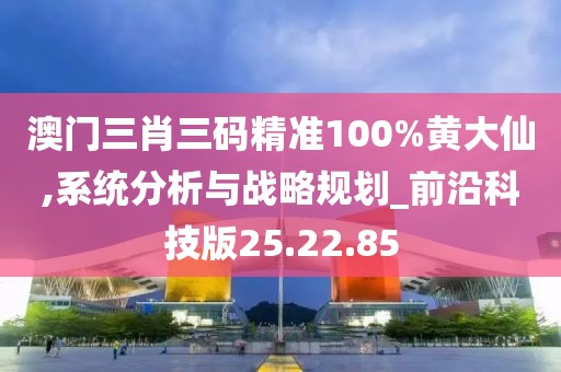 澳門三肖三碼精準(zhǔn)100%黃大仙,系統(tǒng)分析與戰(zhàn)略規(guī)劃_前沿科技版25.22.85