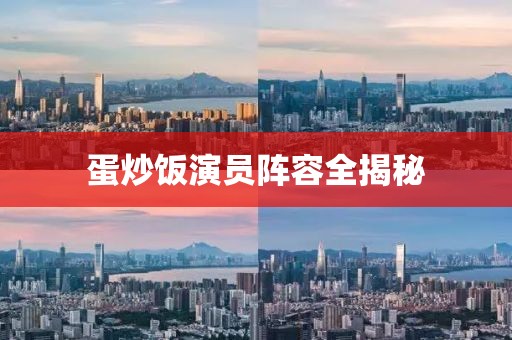 蛋炒飯演員陣容全揭秘