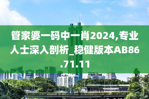 管家婆一碼中一肖2024,專業(yè)人士深入剖析_穩(wěn)健版本AB86.71.11