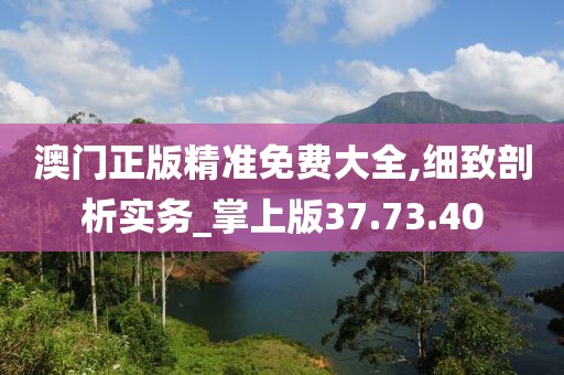 澳門正版精準免費大全,細致剖析實務_掌上版37.73.40