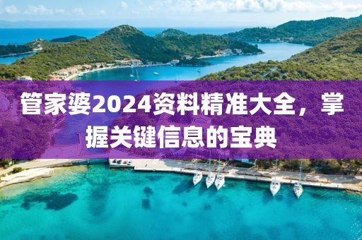管家婆2024資料精準(zhǔn)大全，掌握關(guān)鍵信息的寶典