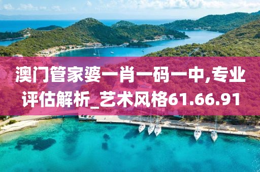澳門管家婆一肖一碼一中,專業(yè)評估解析_藝術(shù)風(fēng)格61.66.91