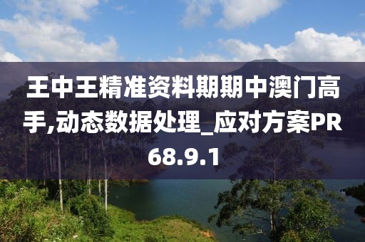 王中王精準(zhǔn)資料期期中澳門高手,動態(tài)數(shù)據(jù)處理_應(yīng)對方案PR68.9.1