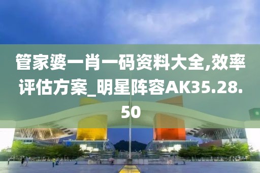 管家婆一肖一碼資料大全,效率評估方案_明星陣容AK35.28.50