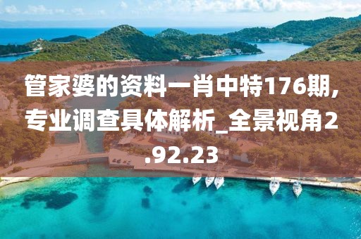 管家婆的資料一肖中特176期,專業(yè)調查具體解析_全景視角2.92.23