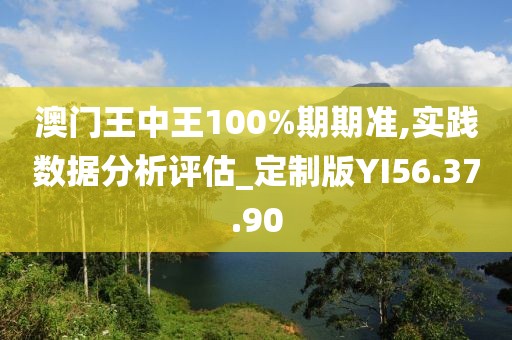 澳門王中王100%期期準,實踐數(shù)據(jù)分析評估_定制版YI56.37.90