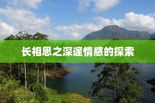 長相思之深邃情感的探索