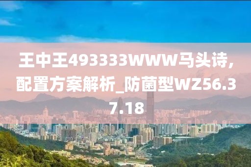 王中王493333WWW馬頭詩,配置方案解析_防菌型WZ56.37.18