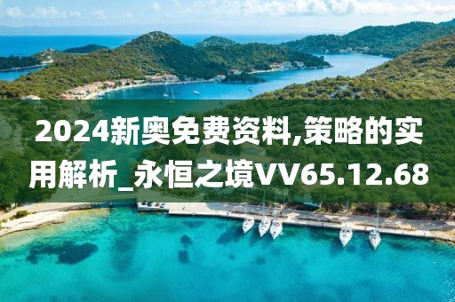 2024新奧免費(fèi)資料,策略的實(shí)用解析_永恒之境VV65.12.68