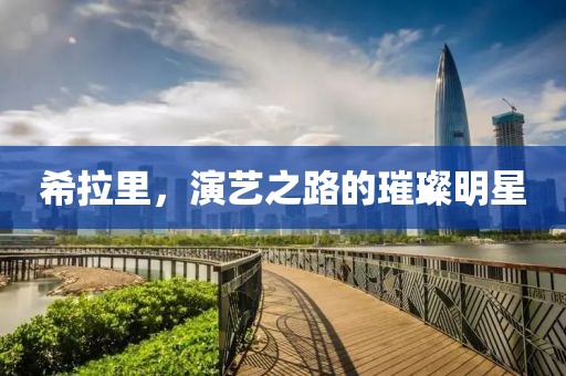希拉里，演藝之路的璀璨明星