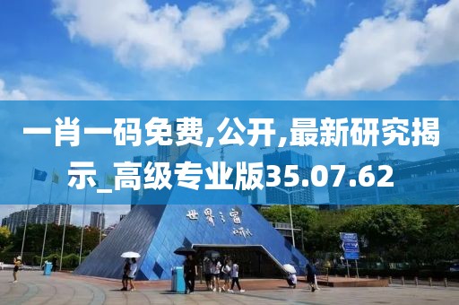 一肖一碼免費(fèi),公開,最新研究揭示_高級(jí)專業(yè)版35.07.62
