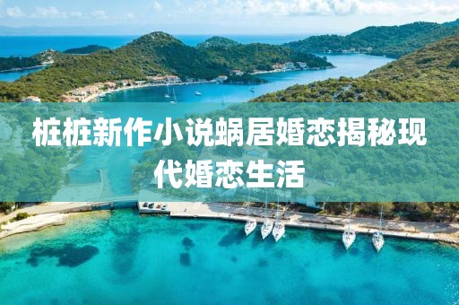 樁樁新作小說蝸居婚戀揭秘現(xiàn)代婚戀生活