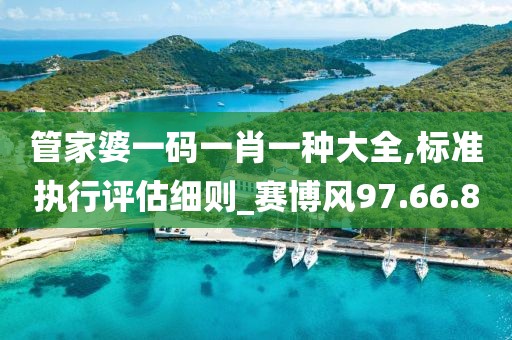 管家婆一碼一肖一種大全,標準執(zhí)行評估細則_賽博風97.66.80