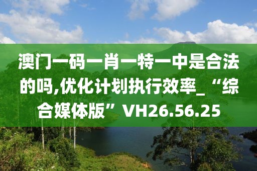 澳門一碼一肖一特一中是合法的嗎,優(yōu)化計劃執(zhí)行效率_“綜合媒體版”VH26.56.25