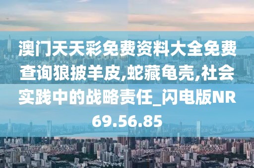 澳門天天彩免費資料大全免費查詢狼披羊皮,蛇藏龜殼,社會實踐中的戰(zhàn)略責(zé)任_閃電版NR69.56.85