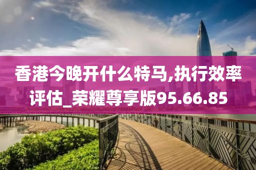 香港今晚開什么特馬,執(zhí)行效率評(píng)估_榮耀尊享版95.66.85