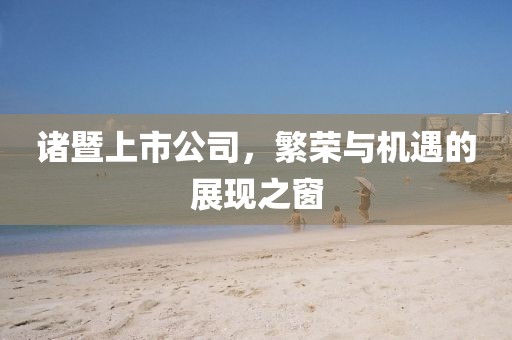 諸暨上市公司，繁榮與機(jī)遇的展現(xiàn)之窗