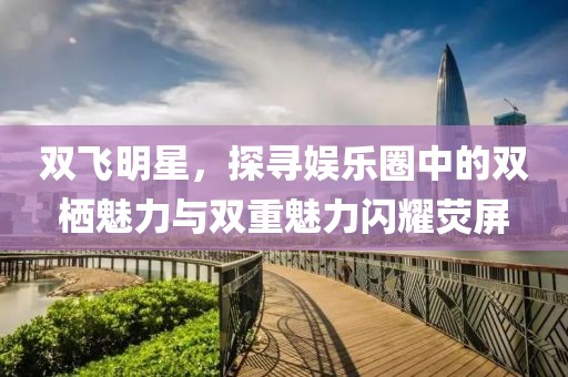 雙飛明星，探尋娛樂圈中的雙棲魅力與雙重魅力閃耀熒屏