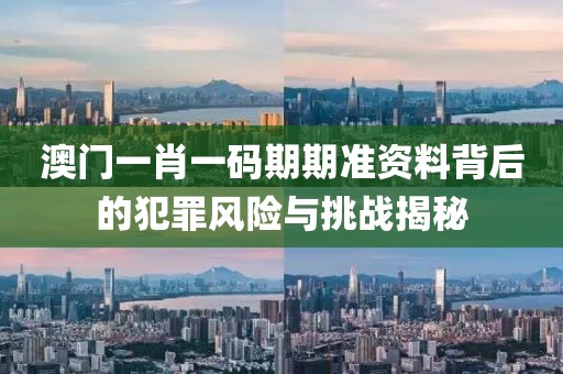 澳門一肖一碼期期準(zhǔn)資料背后的犯罪風(fēng)險與挑戰(zhàn)揭秘