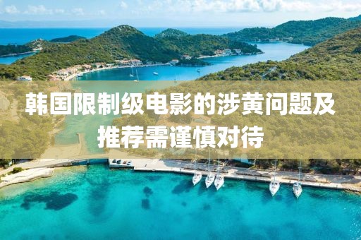韓國限制級電影的涉黃問題及推薦需謹慎對待