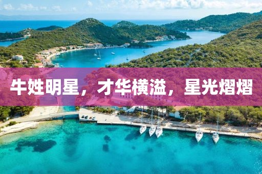 牛姓明星，才華橫溢，星光熠熠