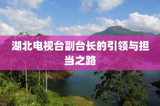 湖北電視臺副臺長的引領(lǐng)與擔(dān)當(dāng)之路