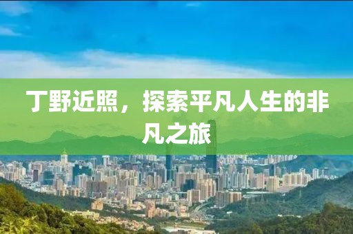 丁野近照，探索平凡人生的非凡之旅