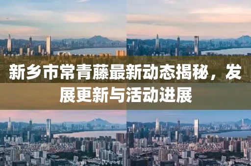 新鄉(xiāng)市常青藤最新動態(tài)揭秘，發(fā)展更新與活動進展