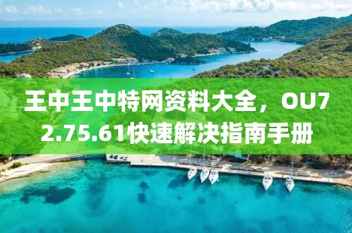 王中王中特網(wǎng)資料大全，OU72.75.61快速解決指南手冊(cè)