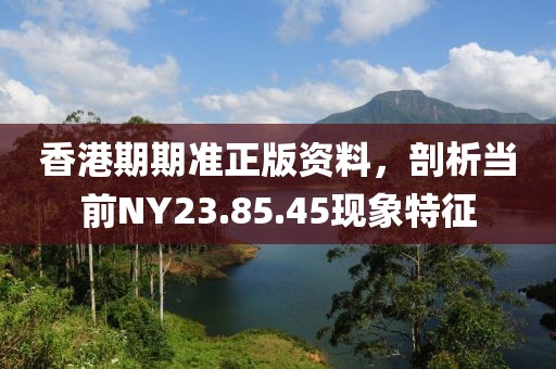 香港期期準正版資料，剖析當(dāng)前NY23.85.45現(xiàn)象特征
