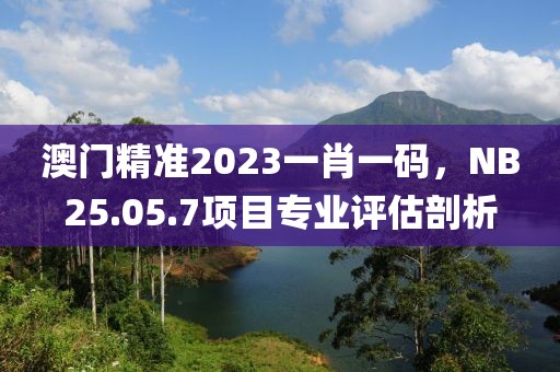 澳門精準(zhǔn)2023一肖一碼，NB25.05.7項(xiàng)目專業(yè)評(píng)估剖析