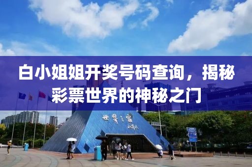 白小姐姐開獎號碼查詢，揭秘彩票世界的神秘之門