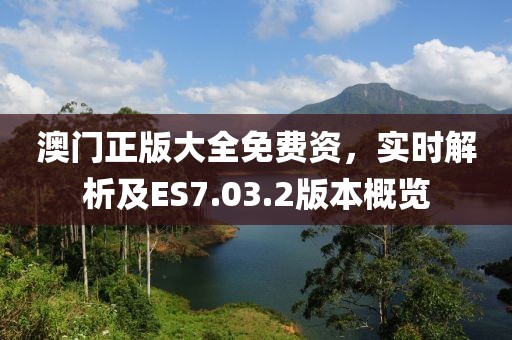 澳門正版大全免費(fèi)資，實時解析及ES7.03.2版本概覽