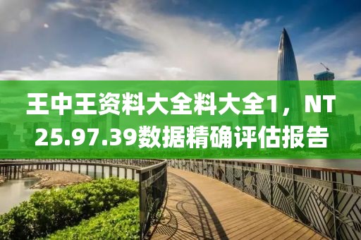 王中王資料大全料大全1，NT25.97.39數(shù)據(jù)精確評(píng)估報(bào)告
