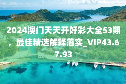 2024澳門天天開好彩大全53期，最佳精選解釋落實_VIP43.67.93