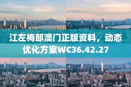 江左梅郎澳門正版資料，動(dòng)態(tài)優(yōu)化方案WC36.42.27