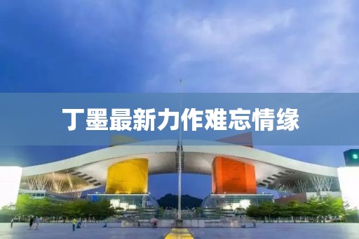 丁墨最新力作難忘情緣