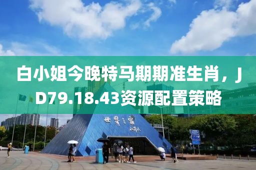 白小姐今晚特馬期期準(zhǔn)生肖，JD79.18.43資源配置策略