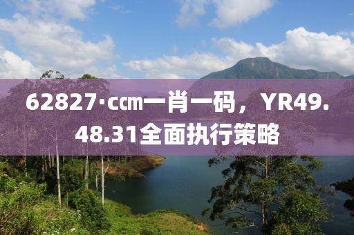62827·c㎝一肖一碼，YR49.48.31全面執(zhí)行策略